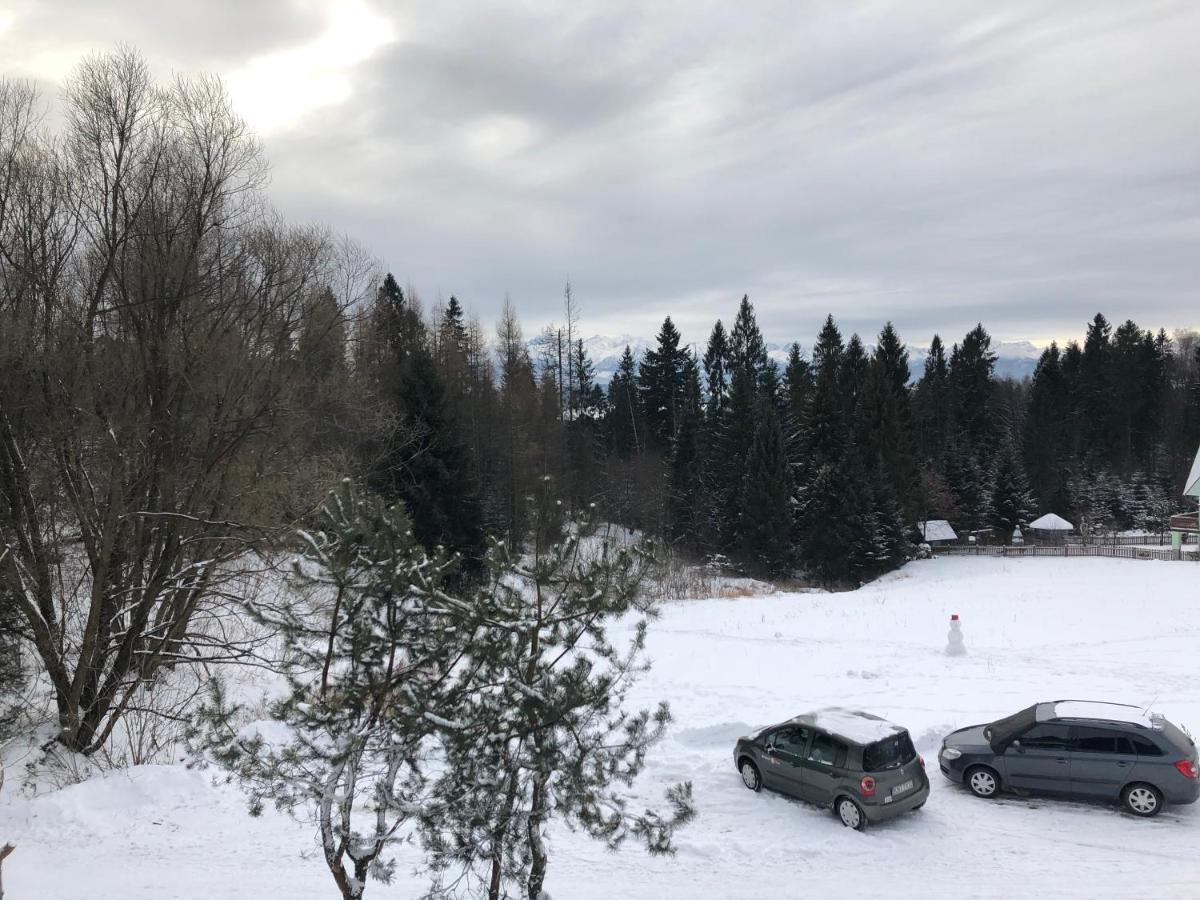 乔尔什滕Gosciniec Pod Smrekami住宿加早餐旅馆 外观 照片